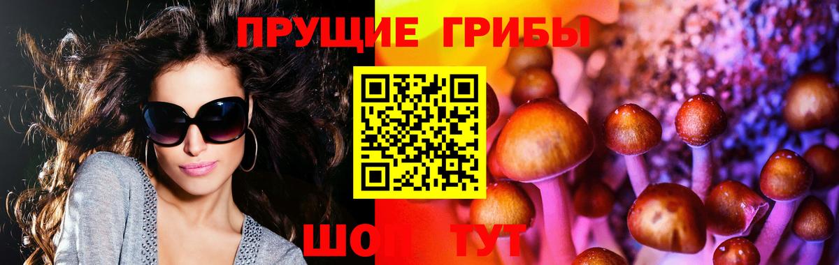 Псилоцибиновые грибы Magic Shrooms Ульяновск