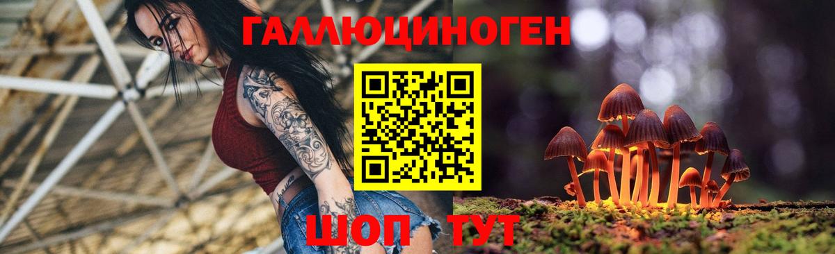 Ульяновск  Галлюциногенные грибы Cubensis  Вход с VPN 